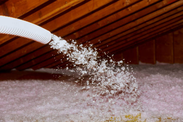 Best Specialized Insulation Services in Millville, DE