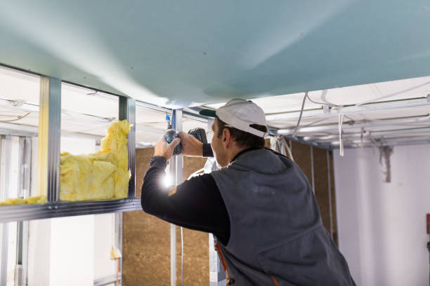Best Cellulose Insulation in Millville, DE