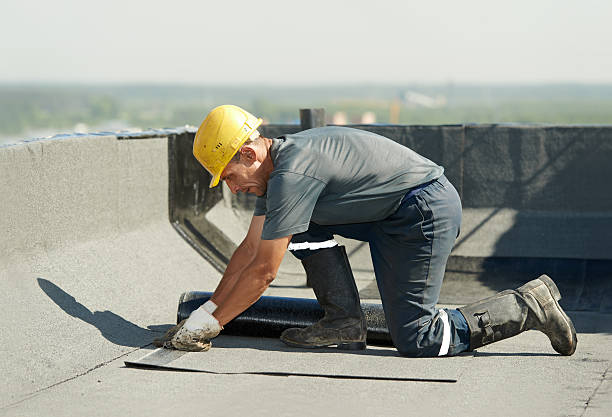 Best DIY Insulation Kits and Guidance in Millville, DE