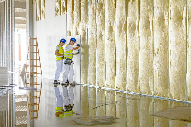 Best Spray Foam Insulation in Millville, DE